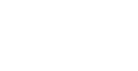 Kingspeed Sports Logo